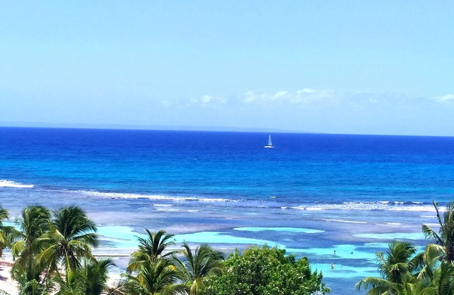 Paradise 