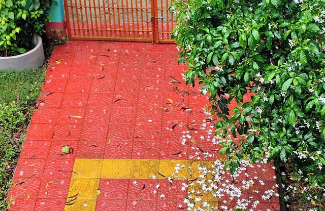 Village Duplex in Barishal with Free Local Guiding
