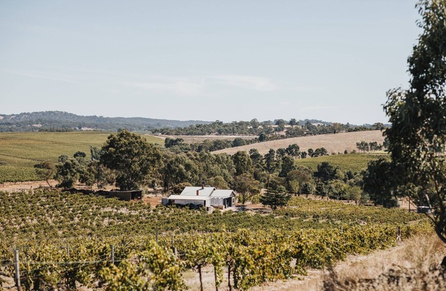 Vineview Cottage- A Farmhouse Cottage set on a Riesling Vineyard. Near Wineries!