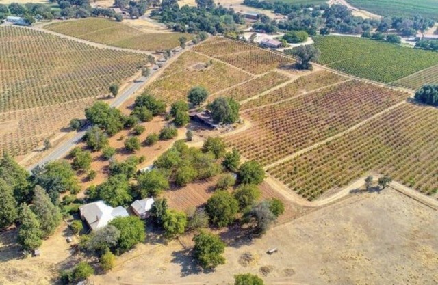 Vintage Farmhouse on 50 acres surrounded by vineyards - Farmhouse experience
