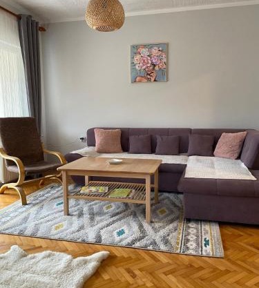 Viola 144