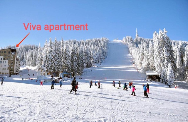 Viva 6 apartment in hotel Stenata Pamporovo