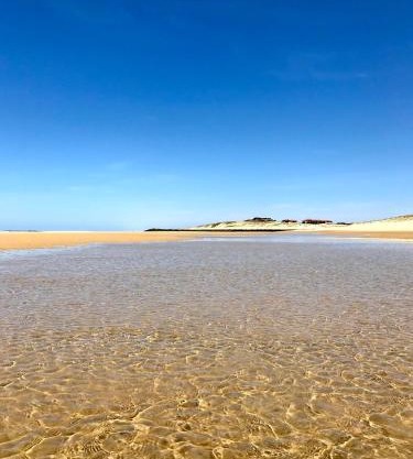 Vue Mer - Au Coeur de Contis Plage
