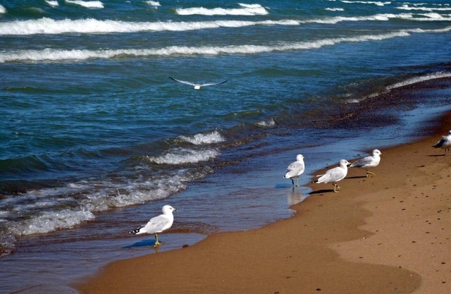 Walk to Lake Michigan Beach from Cottage in the Woods - *Seaside Fired Smores*