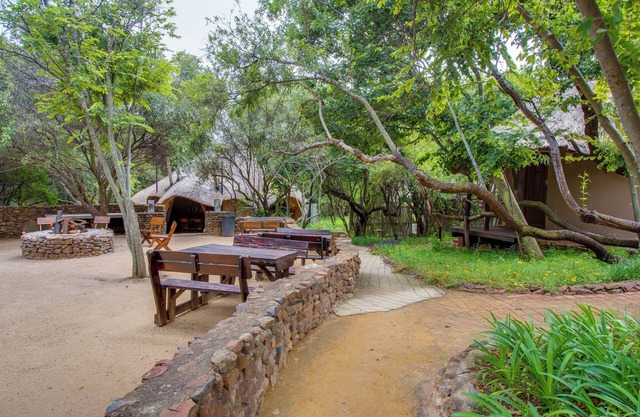 Warthogs Bush Lodge