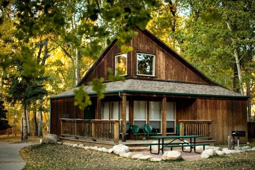 Waterfront Camping Cabin near the Great Sand Dunes in Colorado
