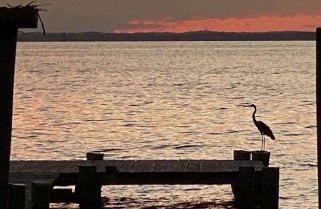 Waterfront on Kent Island