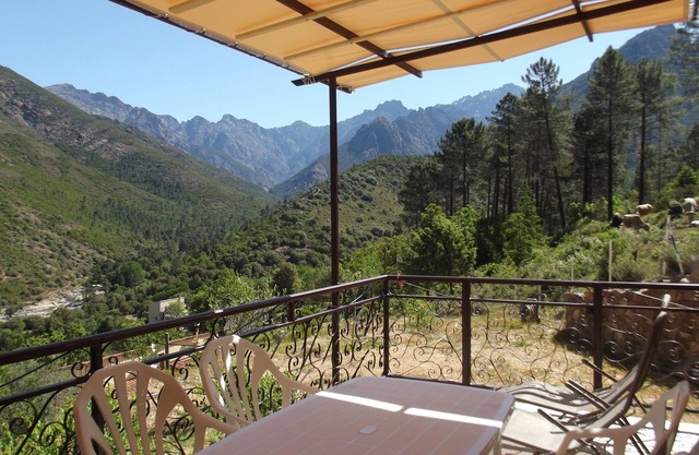 Weekly and overnight rentals open all year round
