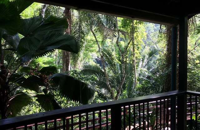 Well appointed Garden Cottage in the heart of the jungle in Maya Hills!