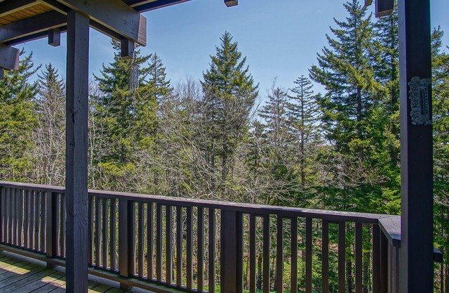 Whistlepunk #11: 2 Bedroom, 2 Bath: Wood fireplace.Central Location.