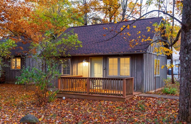 White Rock Cabin-1BR, ADA, kitchenette, fireplace