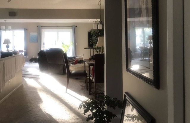 Whole home with spacious kitchen cozy fireplace by airport mall of American