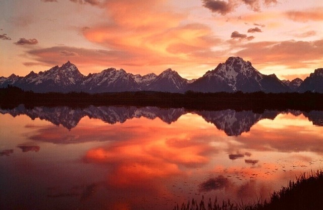 Wildlife, Tram&Mountain Views, Creek, GTNP & Yellowstone, Free Bikes