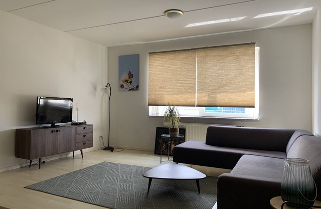 Windmill Beach Apartment Amsterdam - Zaanse Schans