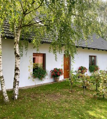 Winnica De Sas