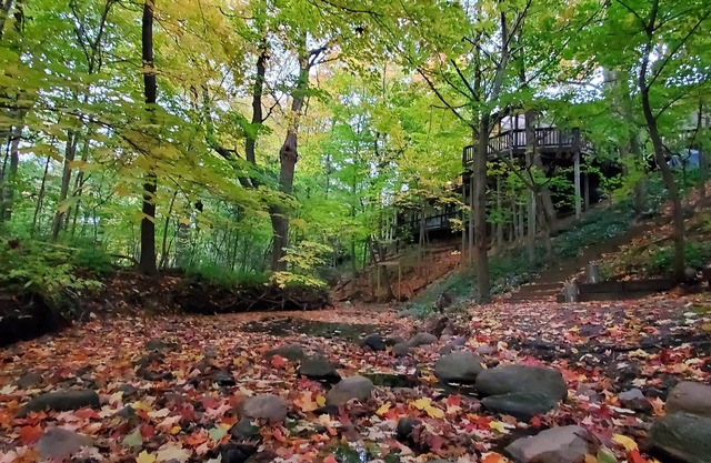 Wisconsin Treehouse Getaway!