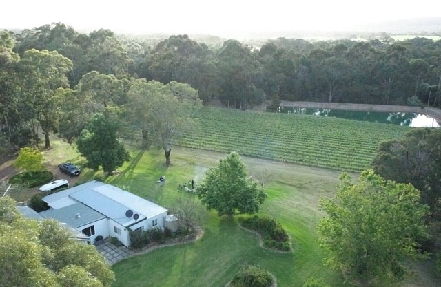 Wisteria Vines Estate
