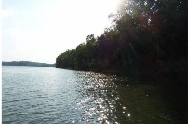 Wolf Island is a 214 Acre Private Island resort with almost 2 mi privatebeaches