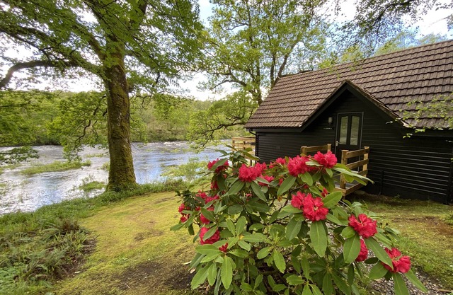 Wooden cabin just for 2 in a private and peaceful woodland