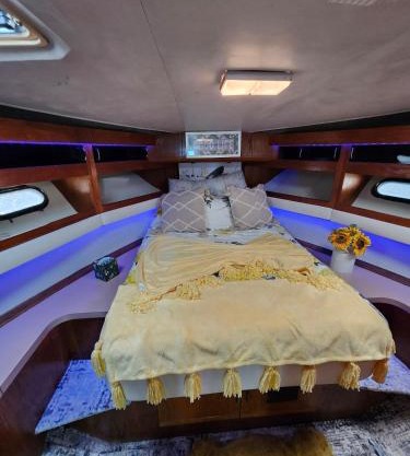 Yacht Rental