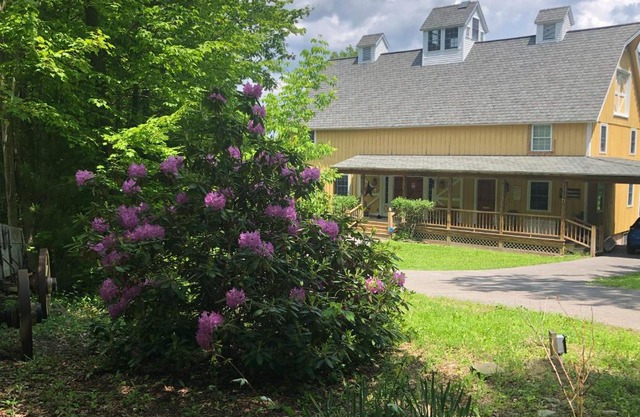 Yellow Barn Estate