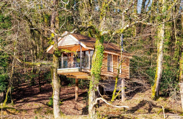 Yeworthy Eco-Treehouse