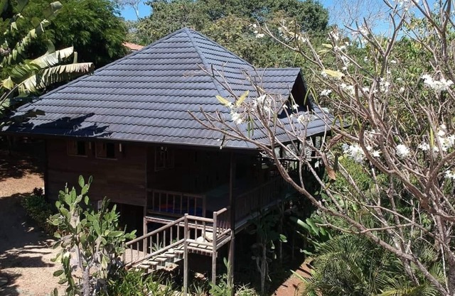 Your best jungle and ocean view option in Montezuma!