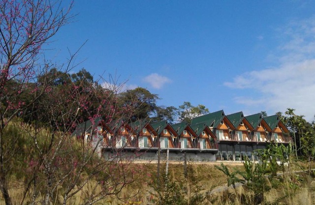 Yulan Green Roof