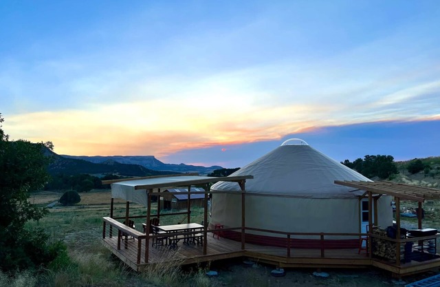 Yurt at Scrappy Duck Farm, Yurt at Scrappy Duck Farm