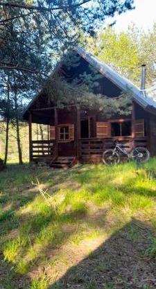 Zapach Lasu domek nad jeziorem