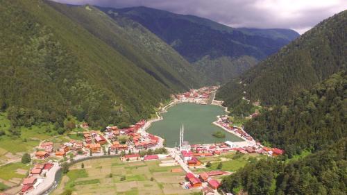 Zeren Apart Bungalov