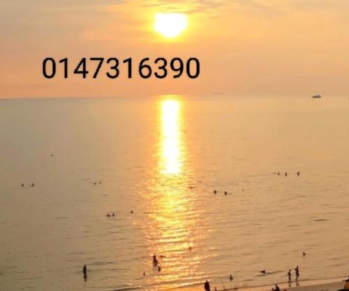 ZNZ Oasis Homestay