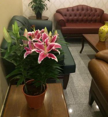 Seyhan Hotel | Ünver Hotel