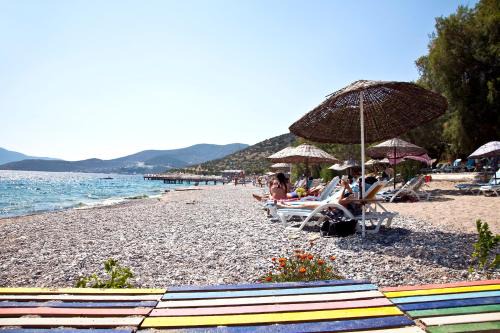 Yaliciftlik House | Şahin Motel & Restaurant