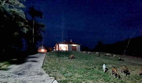 Mladenovac House | Šumadijska panorama