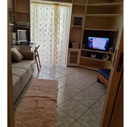 Meteora Apartment | Άρτεμις