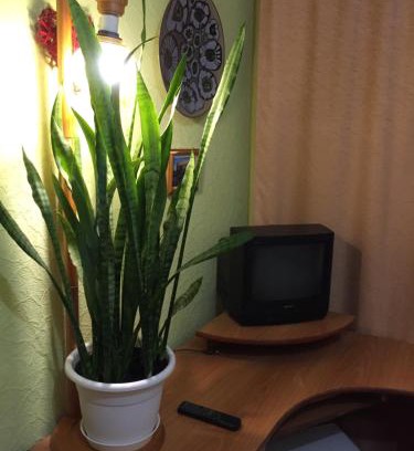 Ternopil Apartment | Бюджетные Комнаты посуточно 5мин McDonalds WI-FI 15мин до центра города