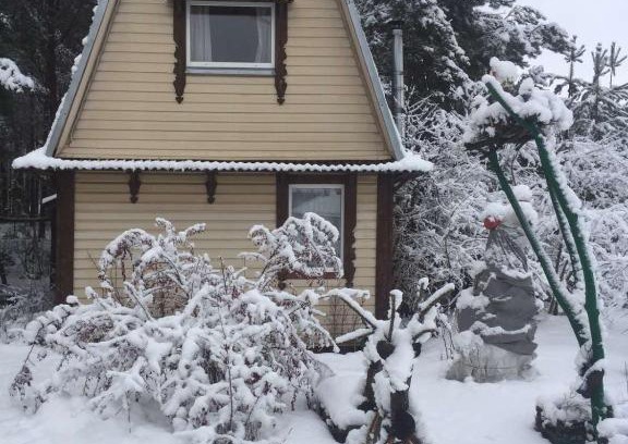 Idritsa House | Гнездо аиста