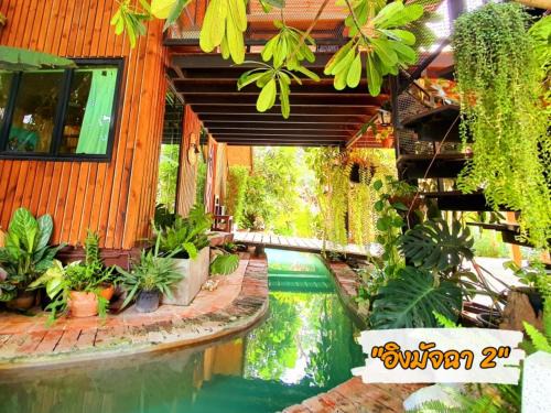 Sena House | บ้านนกฮูกอิงไม้ อิงมัจฉา 2