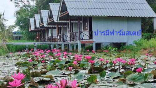 Takua Pa House | ปารมีฟาร์มสเตย์