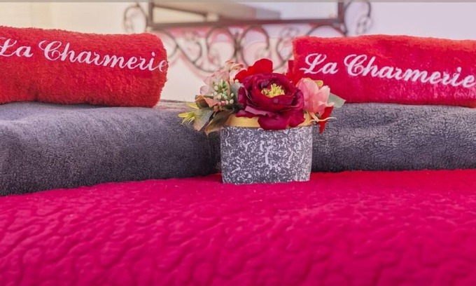 Les Grands Carmes Apartment | ღ CHARMERIE Air-conditioned duplex 5min from Vieux Port
