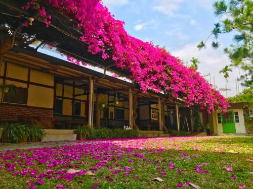 Zhuqi House | 嘉義竹崎白樹腳驛棧萬坪生態包棟烤肉親子民宿