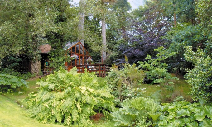 New Forest District Cottage | 1 bedroom accommodation in Furze Hill, near Fordingbridge