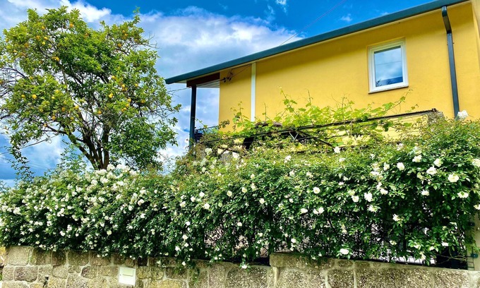 Ponte da Barca House | 1 bedroom private vacation home in vila nova de muãa