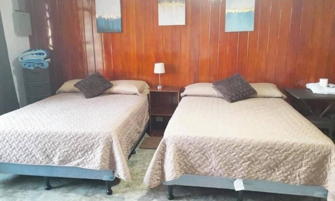 Zona 5 Apartment | 1 Comfy Dual: Convenience & Comfort Galore & 2 Nice and comfortable central apt