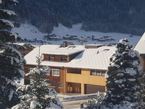 Schoppernau Apartment | 100 m² Apartment ∙ 3 bedrooms ∙ 5 guests
