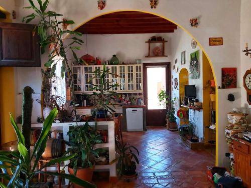 Aspe Apartment | 100 m² Apartment ∙ 1 bedroom ∙ 4 guests