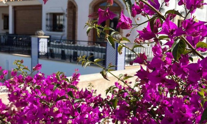 Algorfa Villa | 155 m² Villa ∙ 3 bedrooms ∙ 6 guests