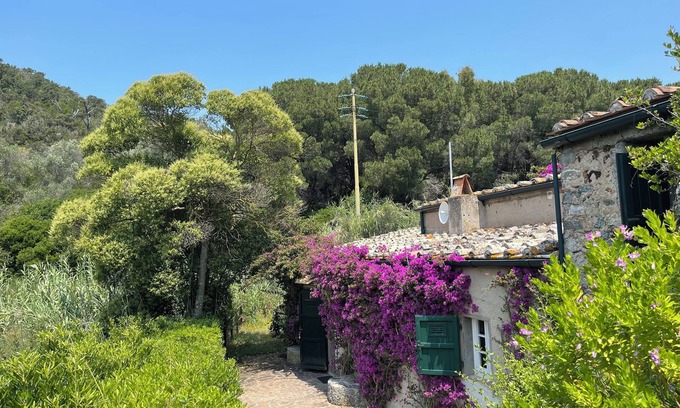 Magazzini House | 18th Century Water Mill With Private Garden Torrent