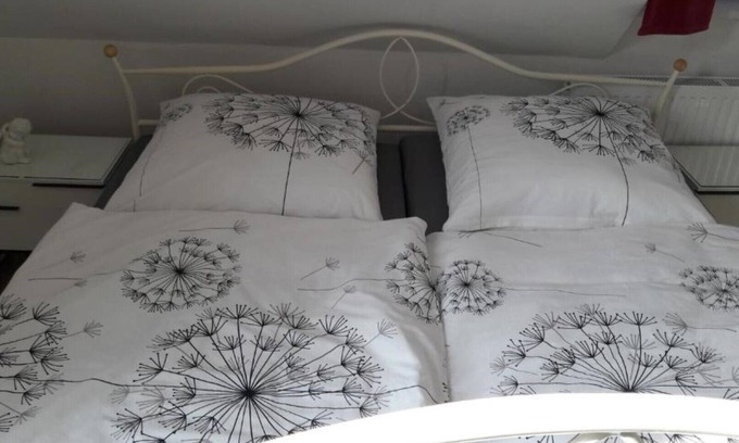 Bad Grund Condo | 2 Bedroom Condo in Bad Grund (Harz)